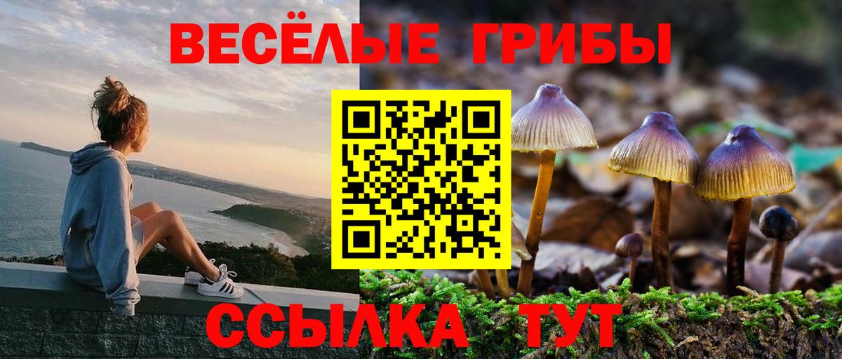 Псилоцибиновые грибы Magic Shrooms  Галлюциногенные грибы ЛСД  Вход с VPN  сколько стоит  Кимовск 